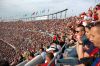 Filename=0_DSC_0127.jpg
Filesize=206KB
Dimensions=800x532
Date added=Mar 05, 2010 0_DSC_0127.jpg