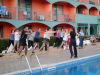 Filename=SDC10871.jpg
Filesize=136KB
Dimensions=800x600
Date added=Mar 05, 2010 SDC10871.jpg