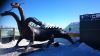 Filename=DSC_0041.JPG
Filesize=119KB
Dimensions=800x450
Date added=Feb 24, 2015 DSC_0041.JPG